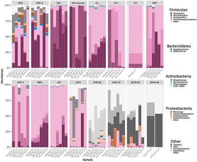 Distribution and diversity of anaerobic thermophiles and putative anaerobic nickel-dependent carbon monoxide-oxidizing thermophiles in mesothermal soils and sediments